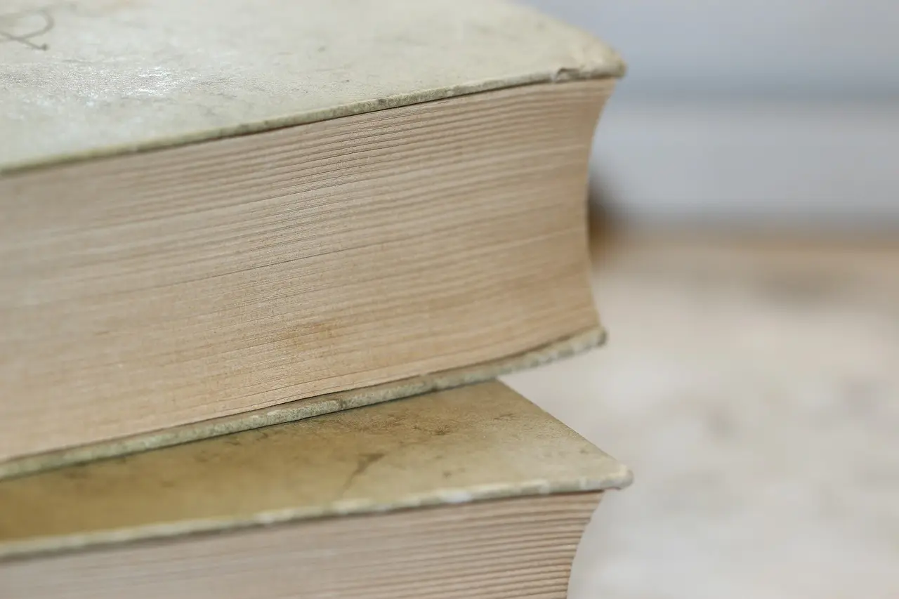 Unveiling the Rich Tapestry of History – Online BA in History Explained