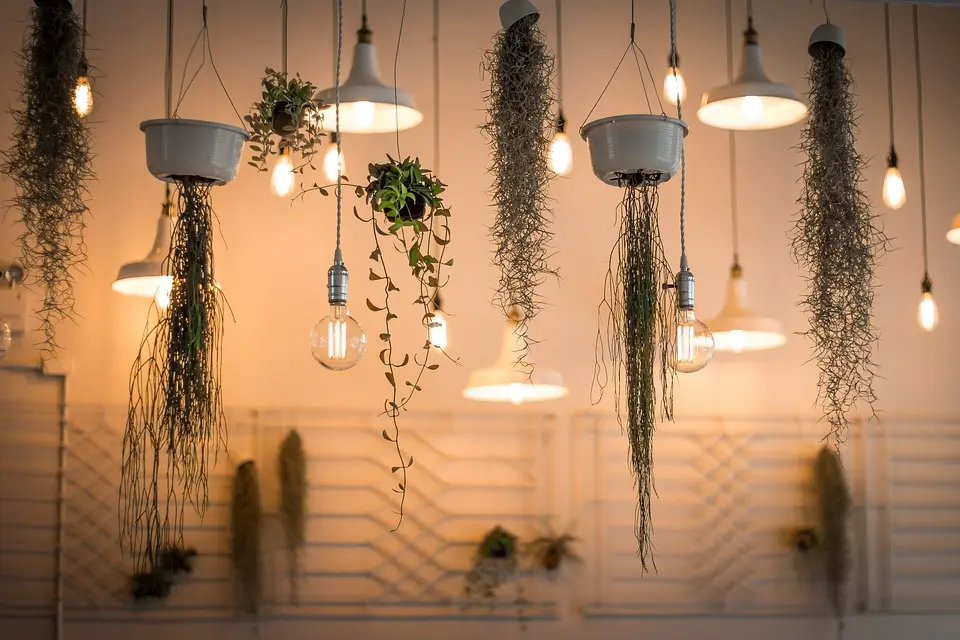 Online Shaping Spaces: Bachelor of Interior Design Insights