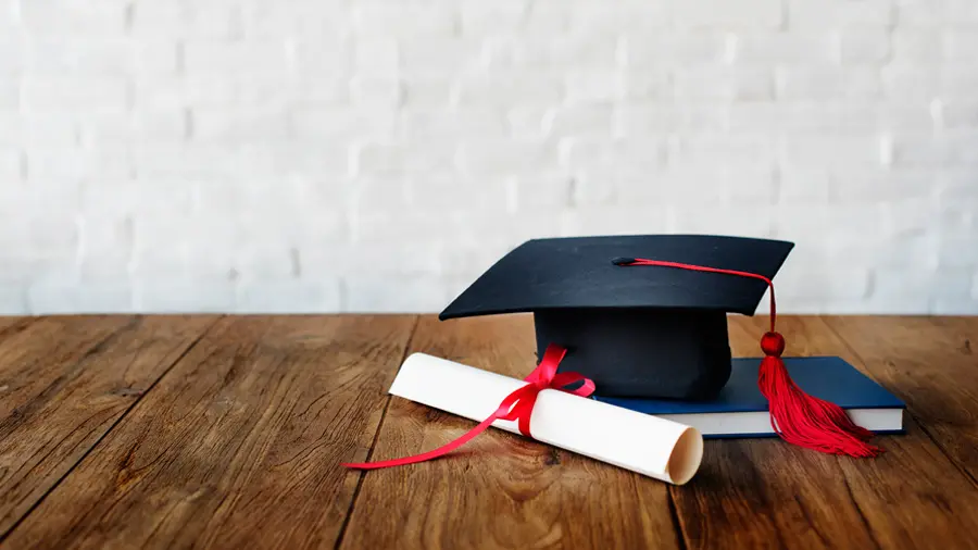 Cultivating Business Leaders: Online Bachelor of Business Administration (BBA) Explored