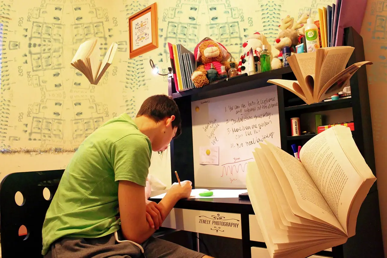 Evaluating the Credibility of Online Degree Programs: A Guide for Students